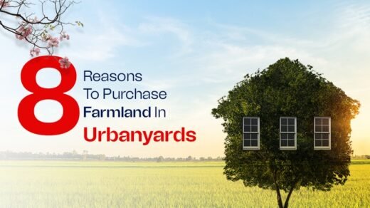 8 reasons to buy a farmland